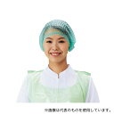 パル D93330(W) 使い捨てカラーモブキャップ グリーン 100枚入