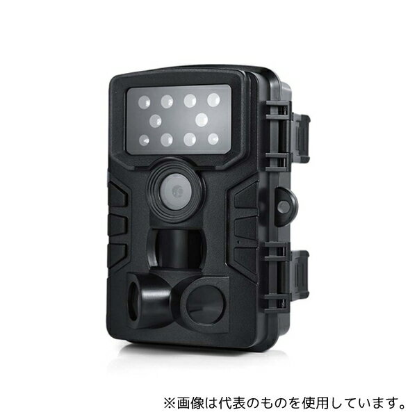 サイエルインターナショナル SLI-FIA1080 フルハイビジョン赤外線センサー暗視カメラ