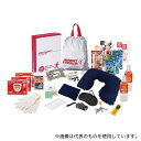 アズワン SB70 1DAY災害対策25点セット