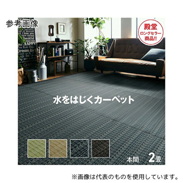 アズワン 1.09003E+12 洗える PPカーペット アウトドア ペット グリーン 本間2畳(約191×191cm)