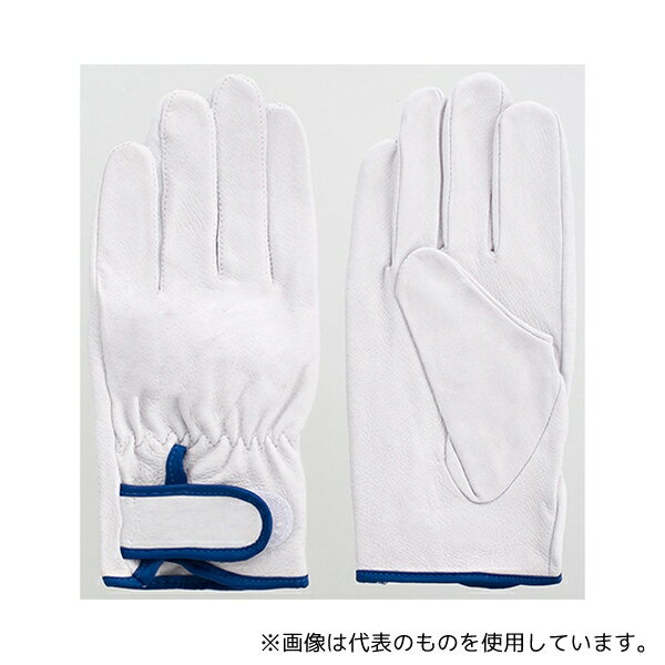 富士グローブ 5981 豚本皮レインジャー型アテなし手袋 3双組 白 LL(4.0)