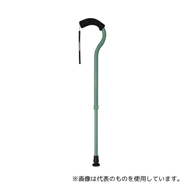 フジホーム WB3883 フラミンゴN 伸縮 フォレストグリーン