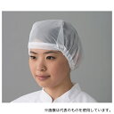 東洋リントフリー JZ506C-01 M ヘアネット 白 10枚/袋(4)