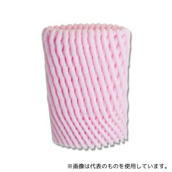 ���⥸�� 4711740 �ͥåȥ���å� W-110 P 100��