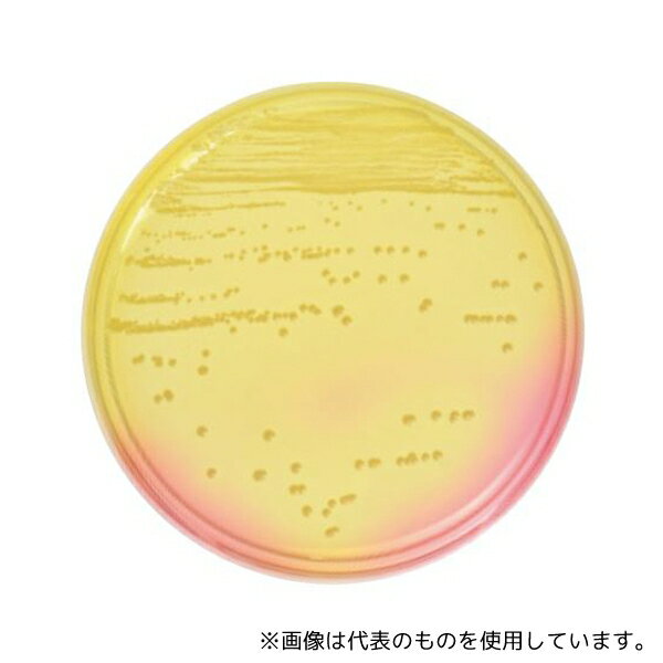 ベクトン・ディッキンソン 251173 BD BBL(TM) マンニット食塩寒天培地 20枚