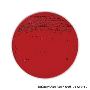 ベクトン・ディッキンソン 252484 BD BBL(TM) アネロコロンビアRS血液寒天培地 10枚