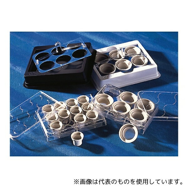 コーニング 3479 ネットウェル6ウェル74μm 1ケース(6個×8パック入)