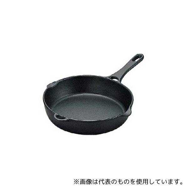 岩鋳 1842300 南部鉄 フライパン 21cm 24011