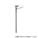 田辺プレス かるケイン L 青墨