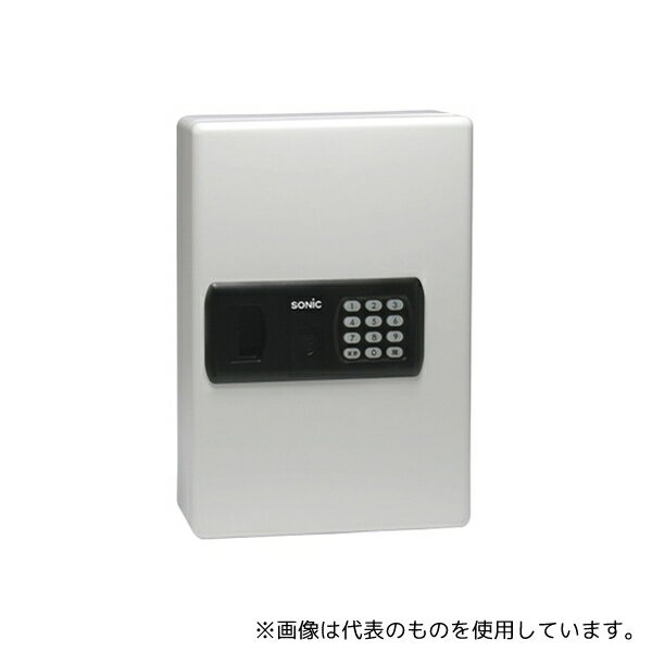 日本緑十字社 199101 暗証番号キーボックス(テンキー式)24個吊