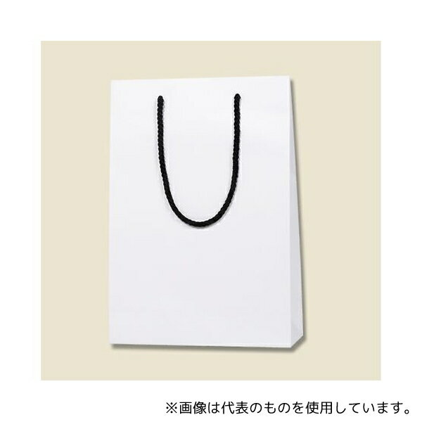 HEIKO 6138274 HEIKO 紙袋 ブライトバッグ SWT 白(マットPP貼り) 10枚