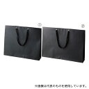 ストア・エキスプレス 61-317-11-3 ショルダーバッグ 黒 52×10×42 入数50枚(3)