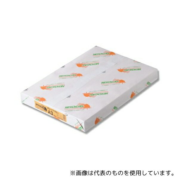 北越コーポレーション 7574605 コピー用紙 NEWファインカラー(国産) A3 オレンジ 500枚入