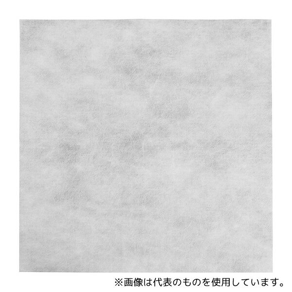 TKG SAだしこしシート(10枚入) 100cm
