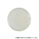 ベクトン・ディッキンソン 251543 BD BBL(TM) 標準寒天培地 1個(1本×100枚入)