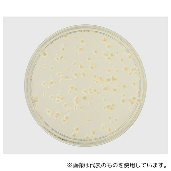 ベクトン・ディッキンソン 252967 BD BBL(TM) コロンビア寒天培地 1個(5枚×5パック入)