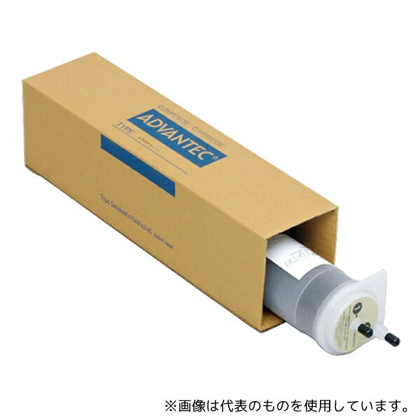 ADVANTEC RF002030 RFU600シリーズ用後段複合カートリッジ(未洗浄品)