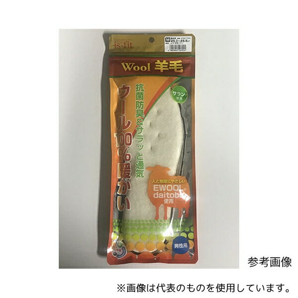 MORITO is-fit 羊毛サラン インソール 男性用 S