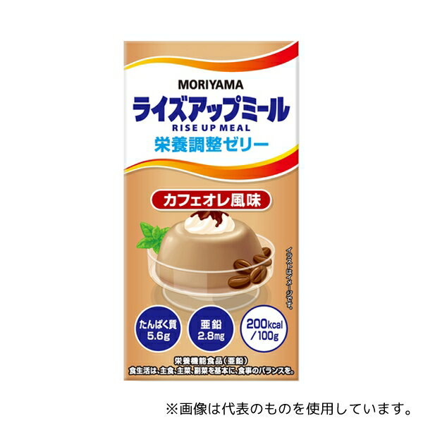 守山乳業 ライズアップミール 栄養調整ゼリー カフェオレ風味 535g 12本入