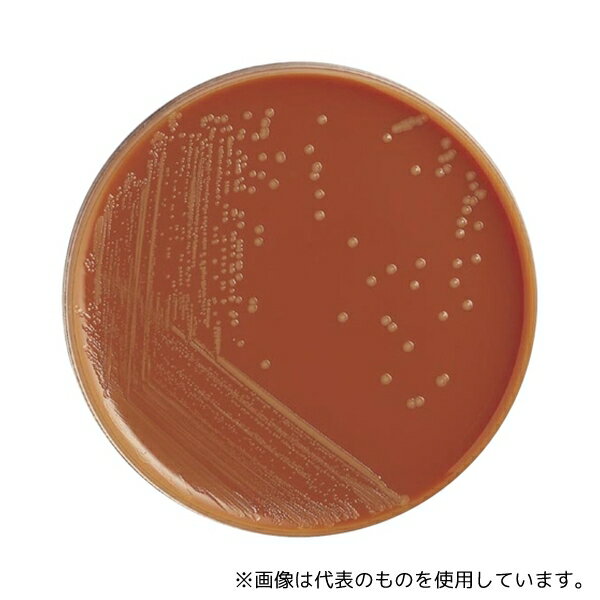 島津ダイアグノスティクス 51053 アキュレートチョコレート寒天培地—EXII10枚