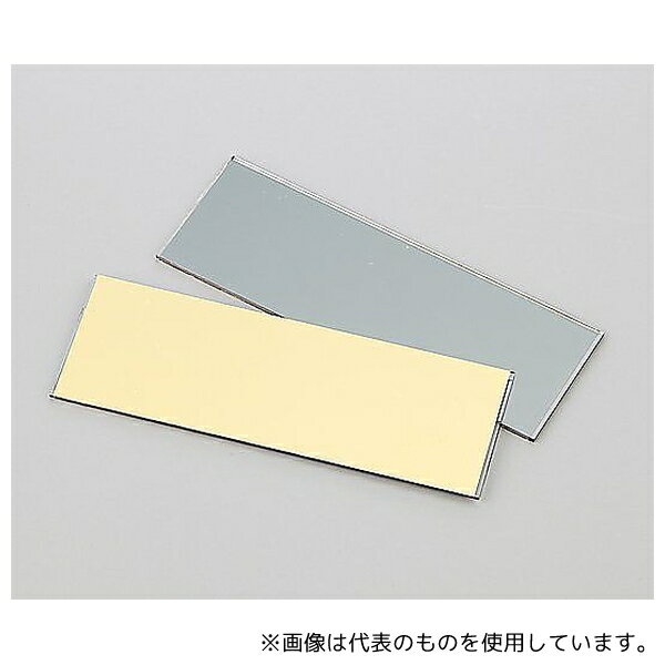 アズワン STJ-0181 ゴールドコートスライドミラー 1セット(2枚入)