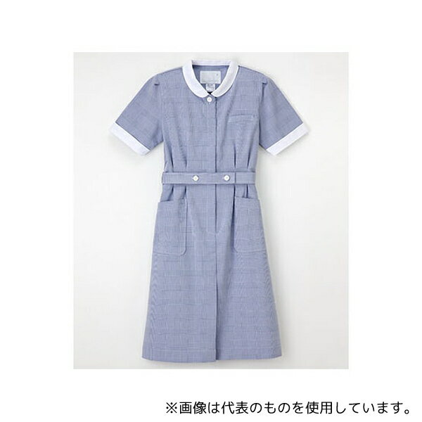 ナガイレーベン GC2207 実習衣 ブルー L