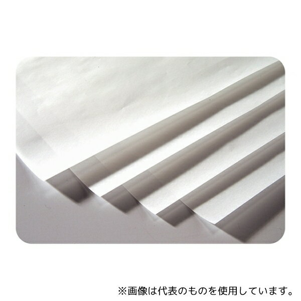 アーテック 20842 トレーシングペーパー4切薄10枚組(版画下絵用)