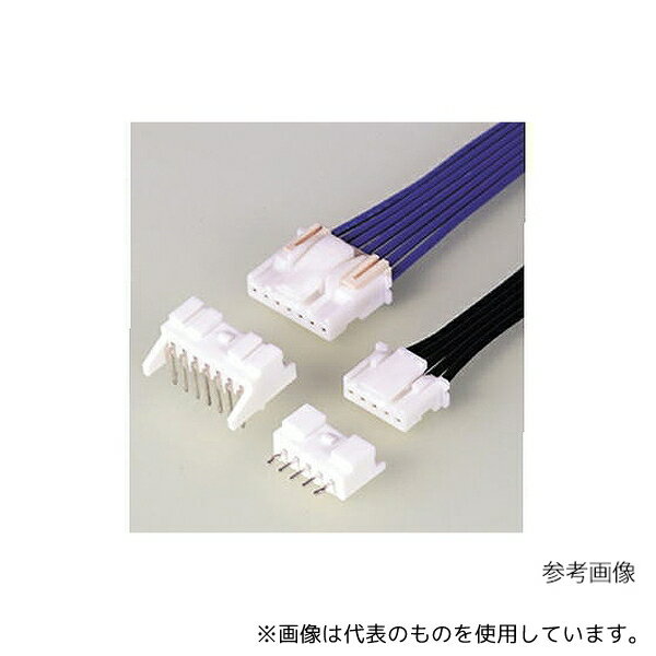 ���ܰ���ü����¤(JST) PAP-02V-S*10 ������������³���女�ͥ����� �ϥ�����2��(10����)