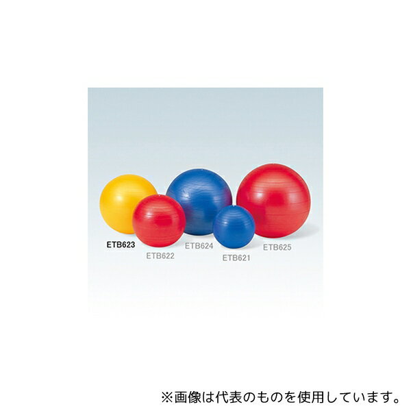 エバニュー ETB623 ジムボール 55