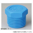 アズワン NP-25 TEFEN ナイロン66 ネジ継手 ブラインドプラグ R1(4)