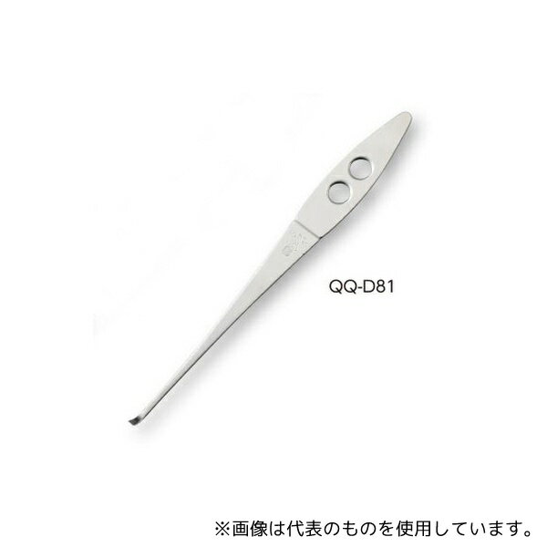  QQ-D81 ˤȤ 