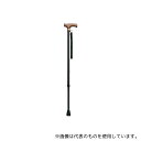 インターリンクス 0401-SS8812 スリムステッキ(伸縮式) ブラック