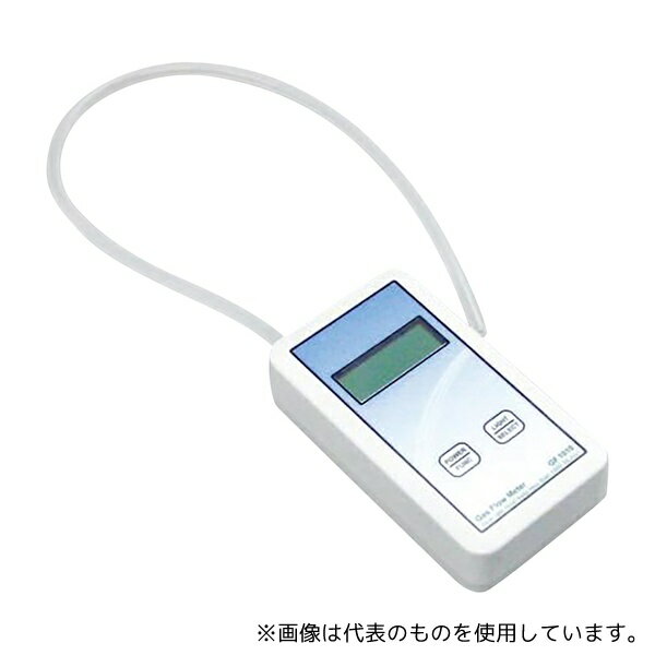 륵 GF1010 ǥե᡼