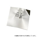 アズワン(AS ONE) 板状分銅 F1PSB-10MA 10mg 1個