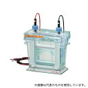 ファーストFACTORYで買える「アトー 2321900/AE-6530M ミニサイズ ポリアクリルアミドゲル電気泳動槽「ラピダス・ミニスラブ」」の画像です。価格は60,962円になります。