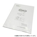 長岡産業 NAS 導電性PETフィルム スタクリア(R) #100両面コート/A4 10枚入