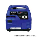 Earth Power EA860W-1 AC100V(50/60Hz)/1.0kVA/DC12V/100W 発電機(4)