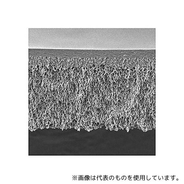 Merck PLHK04310 UF Discs PLHK Ultracel RC 100kDa 44.5mm 10/Pk 10PK