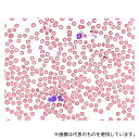 Merck 1.11373.0100 バッファータブレット pH6.4 血液像用リン酸緩衝液調製用(1錠/1L : 100錠入り) 111373 100Tabs(4)