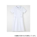 ナガイレーベン HO1937 ワンピース Tブルー L