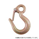 スリーエッチ EL0.25 アイフックラッチ付 250kg(4)