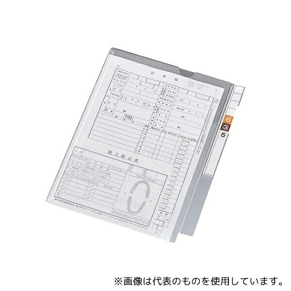 LIHITLAB HK2001 カルテフォルダー(フラップ付)シングル＜縦型＞ 1箱(100枚入)