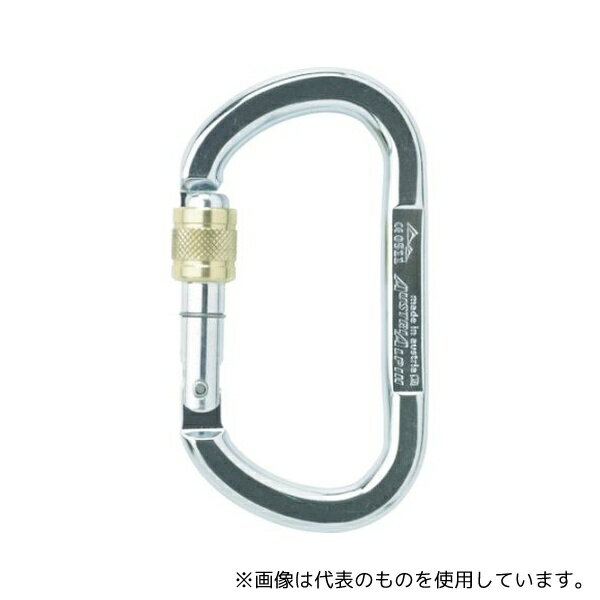 AUSTRIALPIN TP11AK カラビナ OVAL ASYMM XL スクリューロック 線径13.5 シルバー
