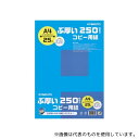 キョクトウ・アソシエイツ PPC250A4 ぶ厚いコピー用紙 紙厚:0.28mm 1冊(25枚入)(3)