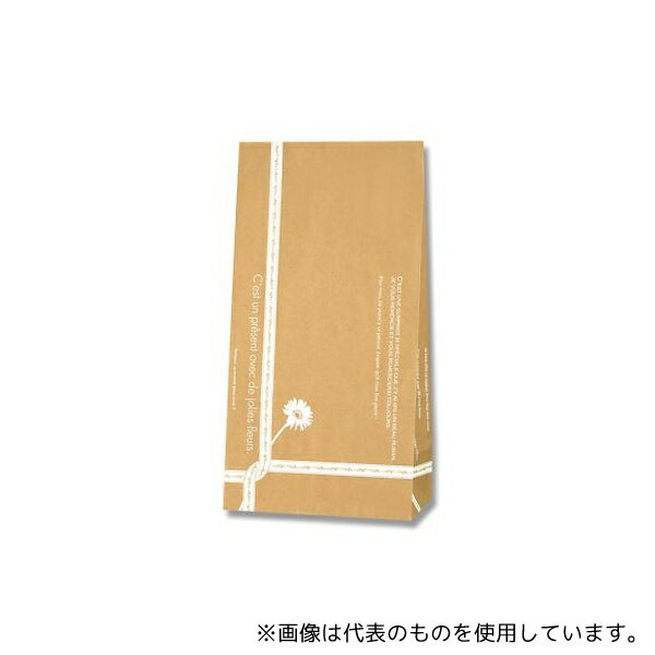 HEIKO 4046400 HEIKO 紙袋 角底袋 No.4 ルバン 100枚