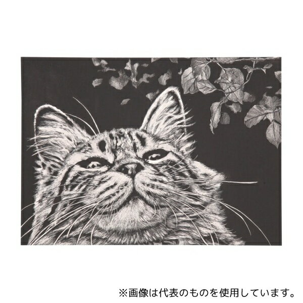 アーテック 13177 スクラッチボード枠なし紙製