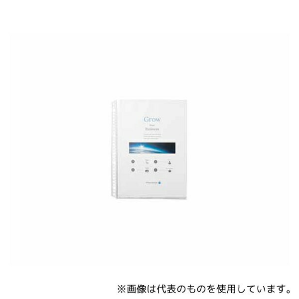 ץ饹 RE-161RW-100P եA4 30 100