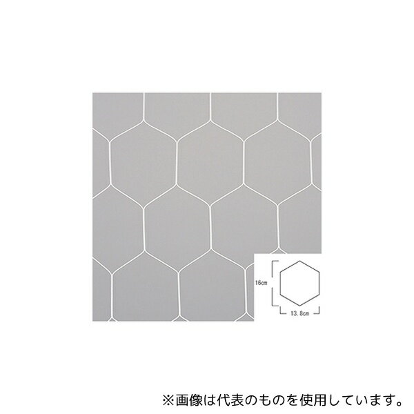 エバニュー EKD841 一般サッカーゴールネット亀甲 S115 [法人限定]