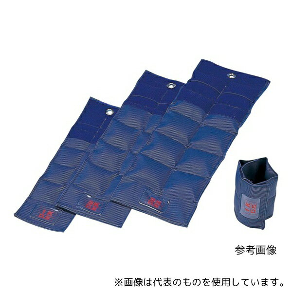 淡野製作所 D-305 リハビリ用重錘バンド 3kg