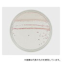 ベクトン・ディッキンソン 252794 BD (TM)mCCDAクリアーHT寒天培地 1個(1本×20枚入)